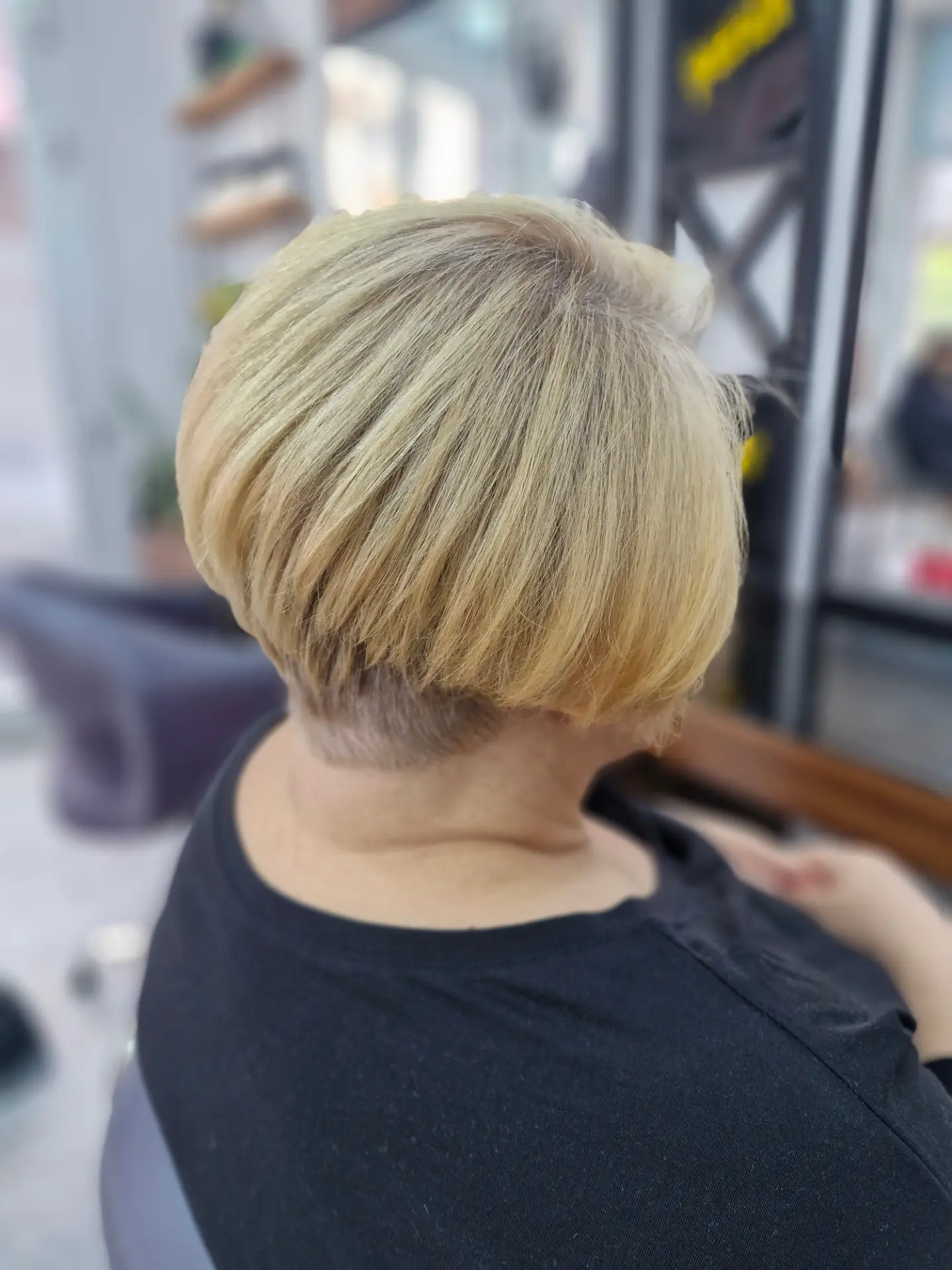 senolarbac 1767276541 3800513548284084180 3196483223