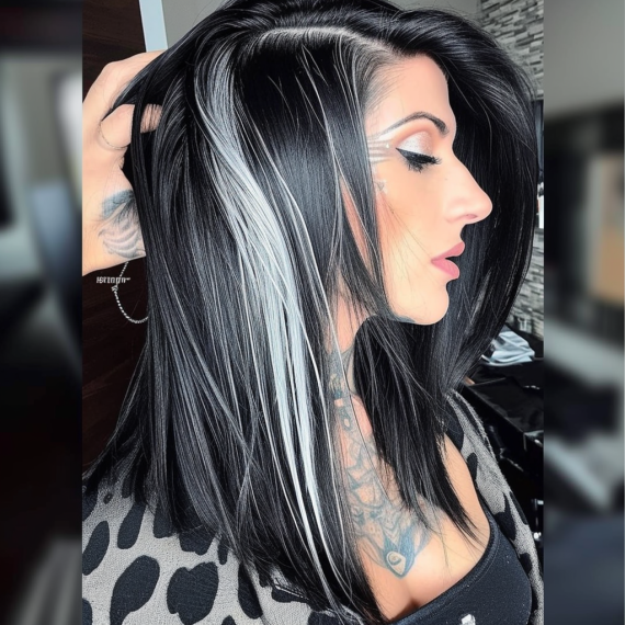 Glossy Black Hair with Silver Slices